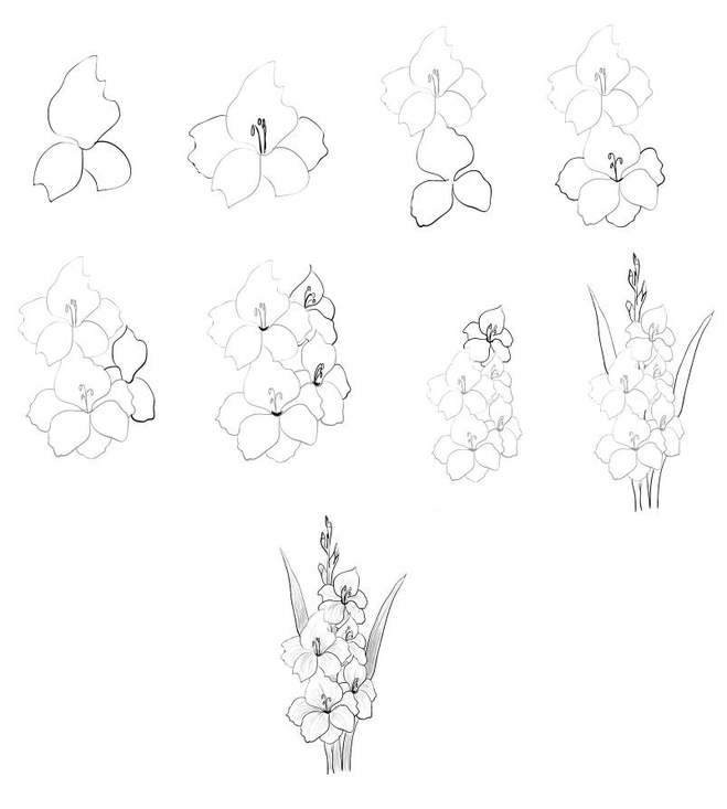 Challenge! Draw and give flowers to others